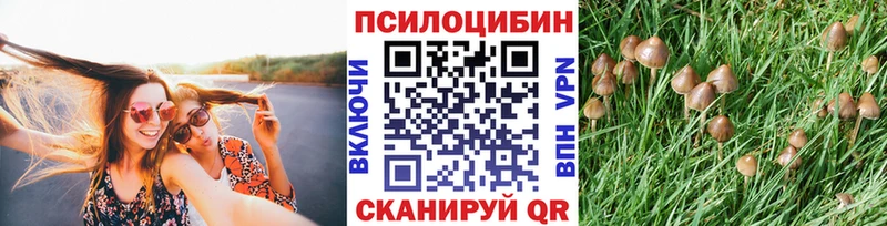 Галлюциногенные грибы GOLDEN TEACHER  Корсаков 